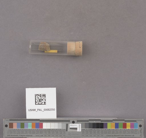NSF ADBC EPICC TCN