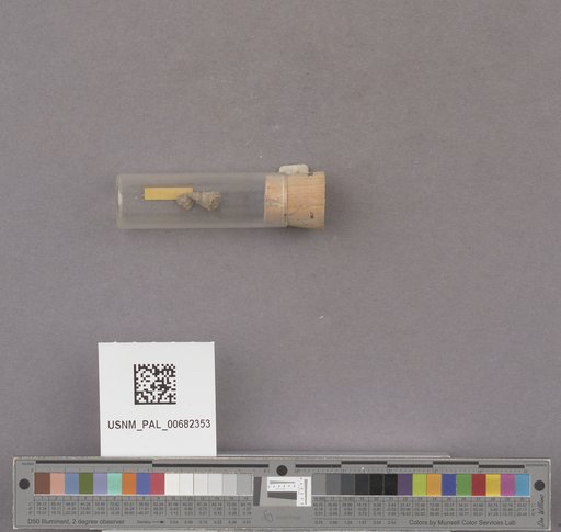 NSF ADBC EPICC TCN