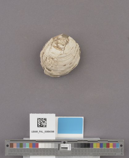 NSF ADBC EPICC TCN