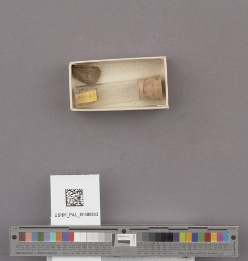 NSF ADBC EPICC TCN