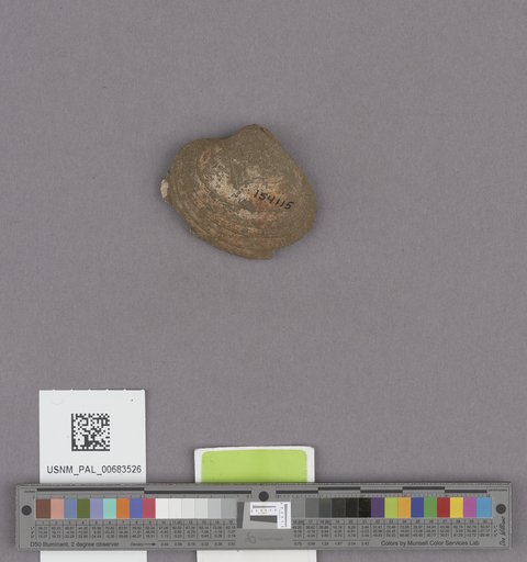 NSF ADBC EPICC TCN