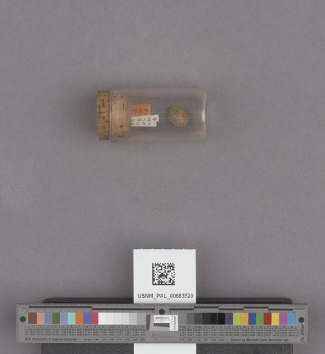 NSF ADBC EPICC TCN