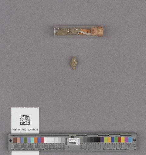 NSF ADBC EPICC TCN