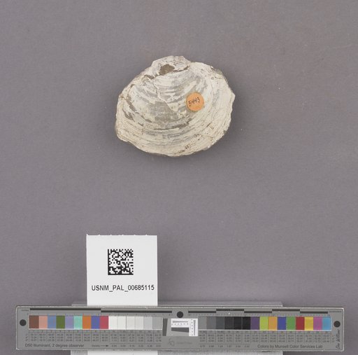 NSF ADBC EPICC TCN