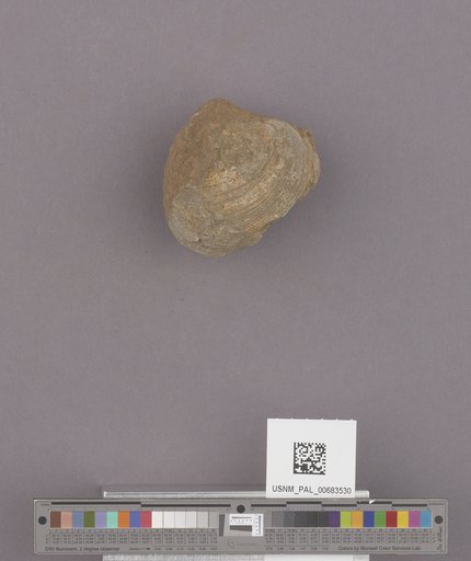 NSF ADBC EPICC TCN