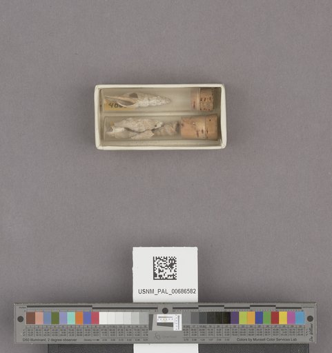 NSF ADBC EPICC TCN