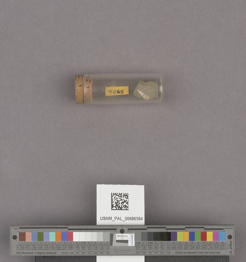 NSF ADBC EPICC TCN