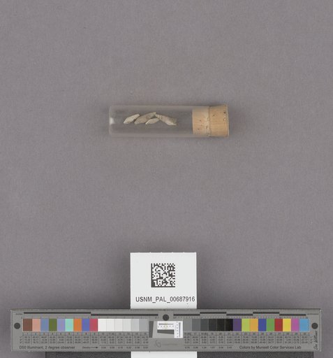 NSF ADBC EPICC TCN
