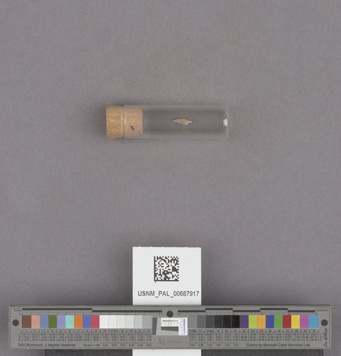 NSF ADBC EPICC TCN