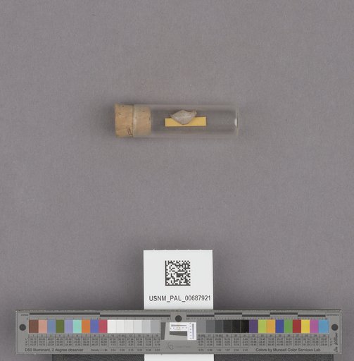 NSF ADBC EPICC TCN