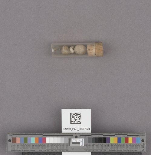 NSF ADBC EPICC TCN
