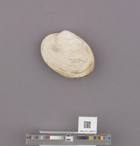NSF ADBC EPICC TCN