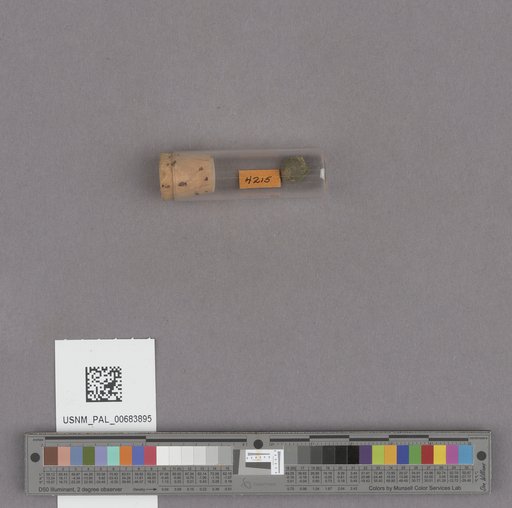 NSF ADBC EPICC TCN