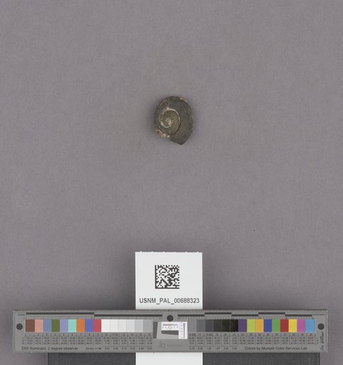 NSF ADBC EPICC TCN