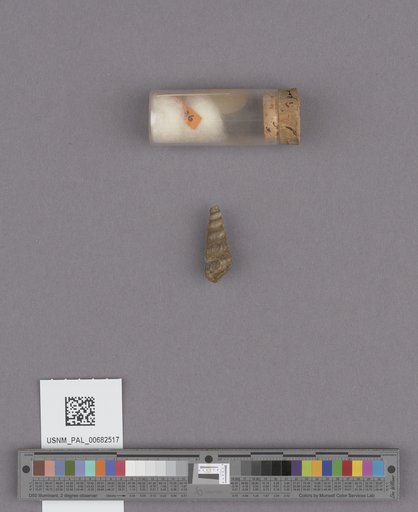 NSF ADBC EPICC TCN