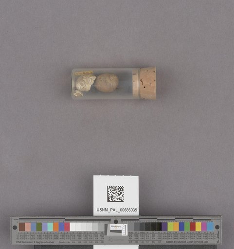 NSF ADBC EPICC TCN