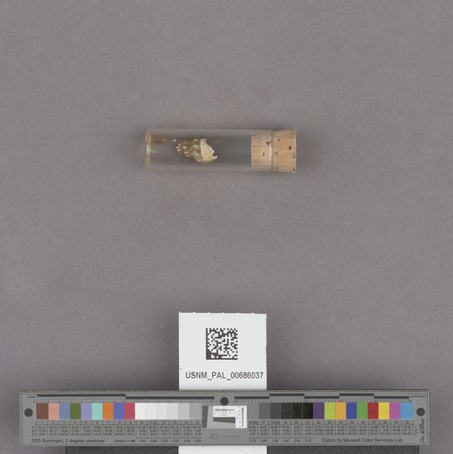 NSF ADBC EPICC TCN