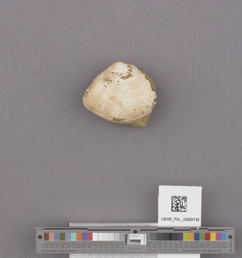 NSF ADBC EPICC TCN