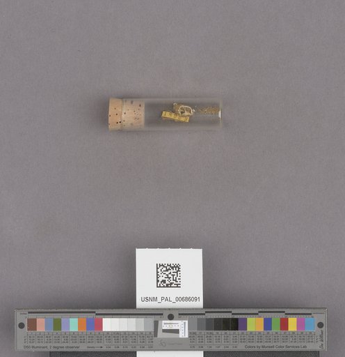 NSF ADBC EPICC TCN