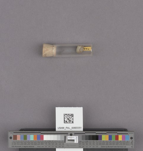 NSF ADBC EPICC TCN