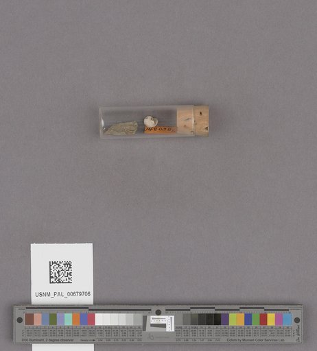 NSF ADBC EPICC TCN