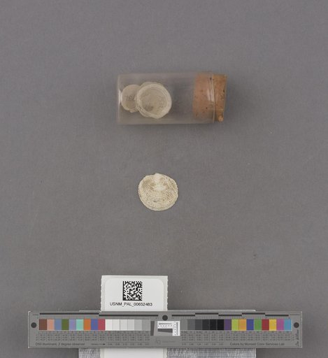 NSF ADBC EPICC TCN