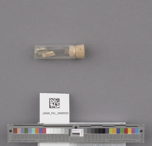 NSF ADBC EPICC TCN