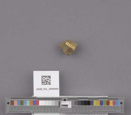 NSF ADBC EPICC TCN