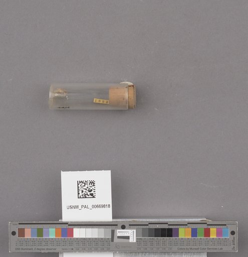 NSF ADBC EPICC TCN