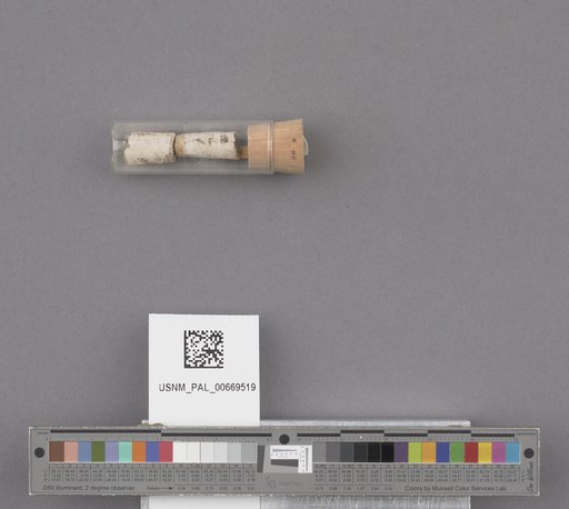 NSF ADBC EPICC TCN