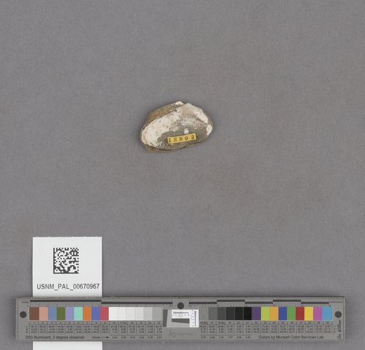 NSF ADBC EPICC TCN