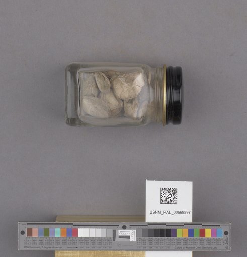 NSF ADBC EPICC TCN
