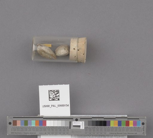 NSF ADBC EPICC TCN