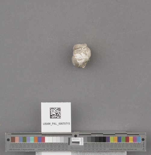 NSF ADBC EPICC TCN