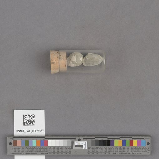 NSF ADBC EPICC TCN