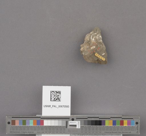 NSF ADBC EPICC TCN