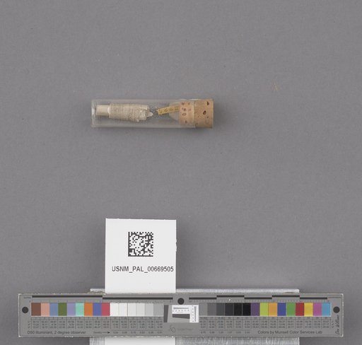 NSF ADBC EPICC TCN