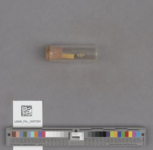 NSF ADBC EPICC TCN