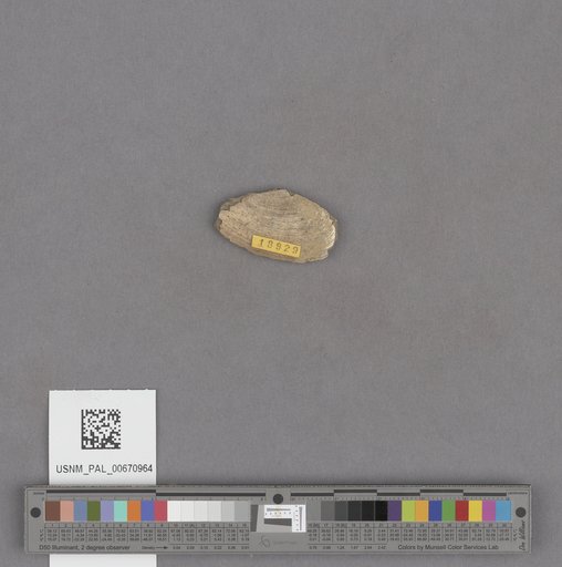NSF ADBC EPICC TCN