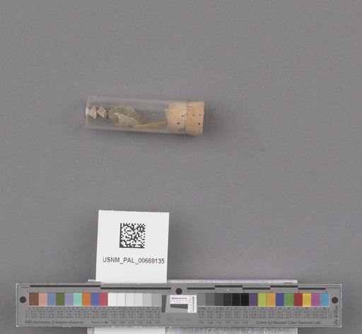 NSF ADBC EPICC TCN