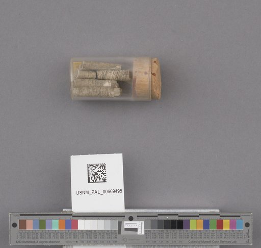NSF ADBC EPICC TCN