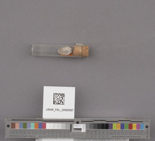 NSF ADBC EPICC TCN