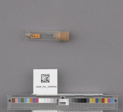 NSF ADBC EPICC TCN