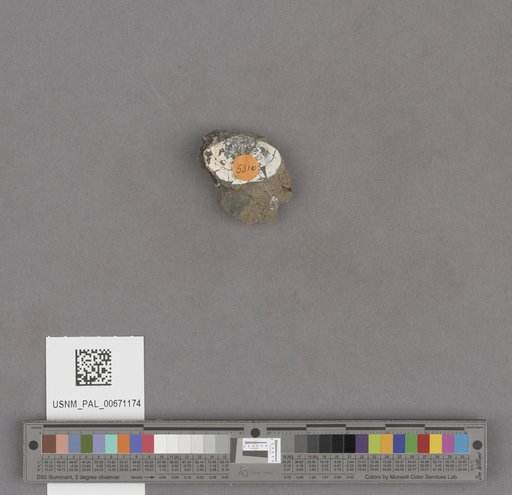 NSF ADBC EPICC TCN