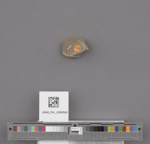 NSF ADBC EPICC TCN