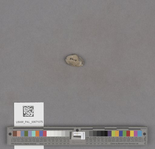 NSF ADBC EPICC TCN