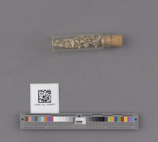 NSF ADBC EPICC TCN