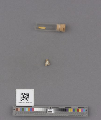 NSF ADBC EPICC TCN