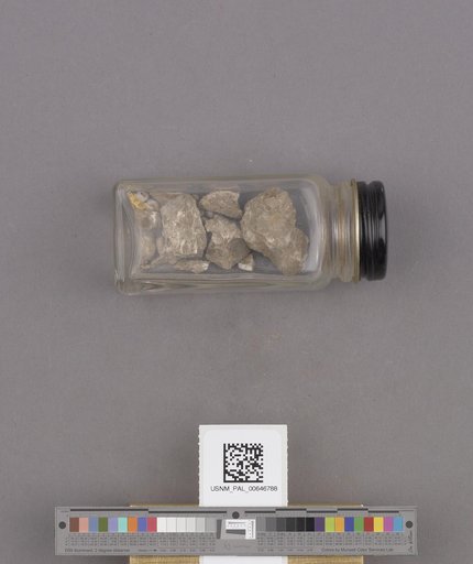 NSF ADBC EPICC TCN