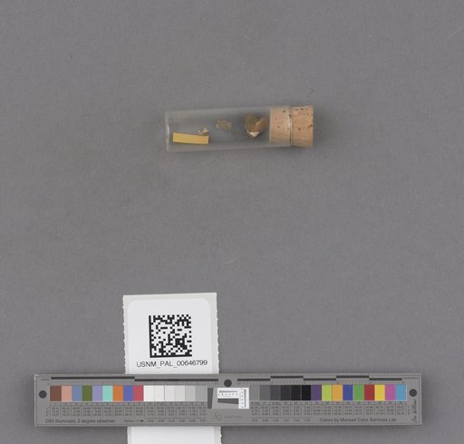 NSF ADBC EPICC TCN